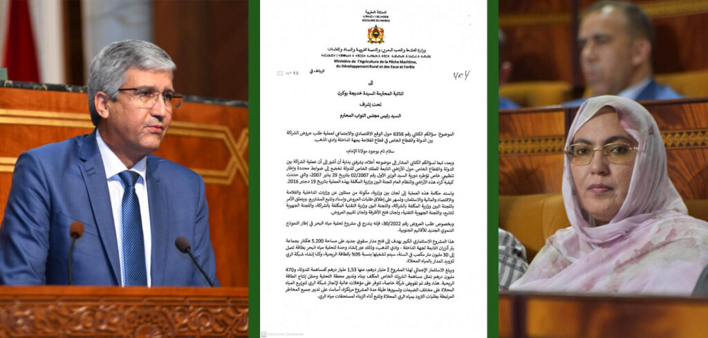 الصحراء انسوليت