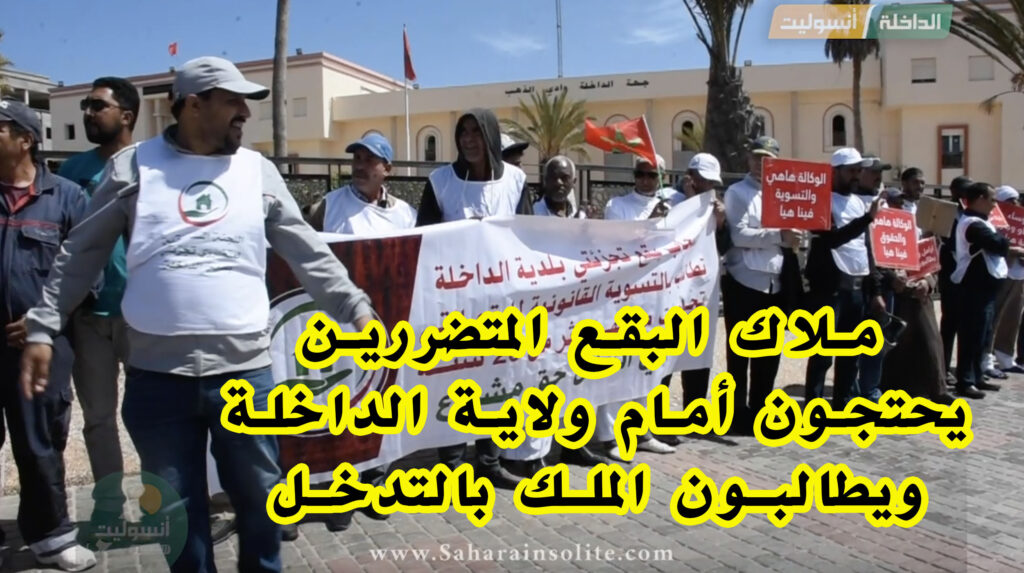 الصحراء أنسوليت