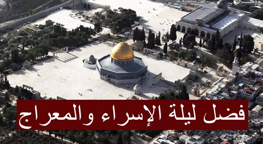 العيون انسوليت