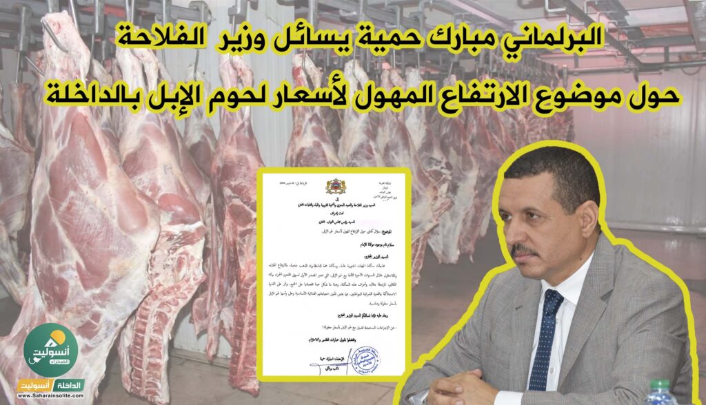 الداخلة انسوليت