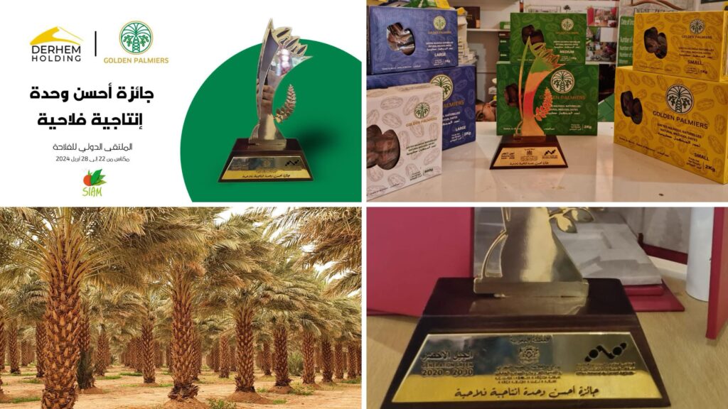 العيون انسوليت
