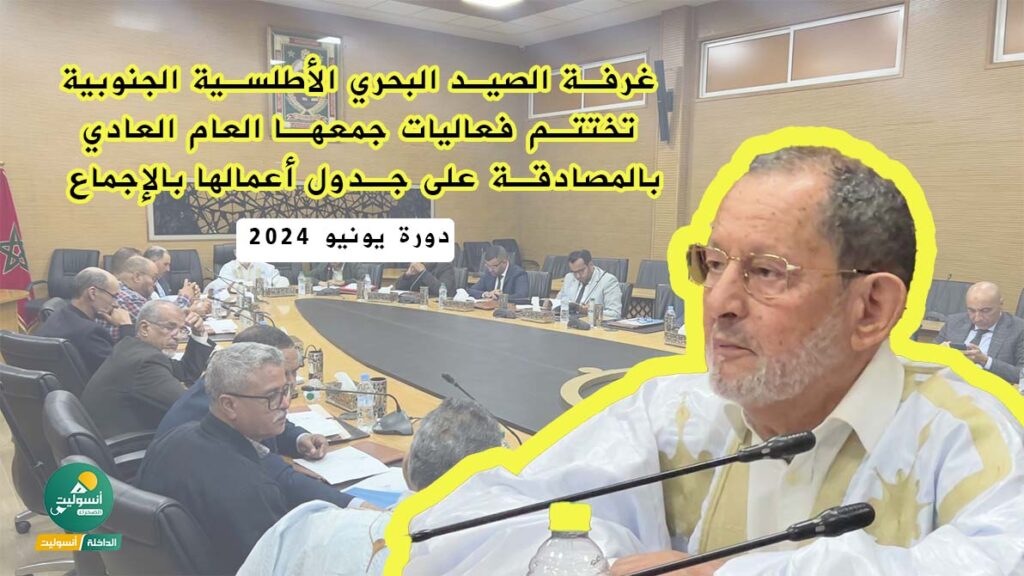 الداخلة انسوليت